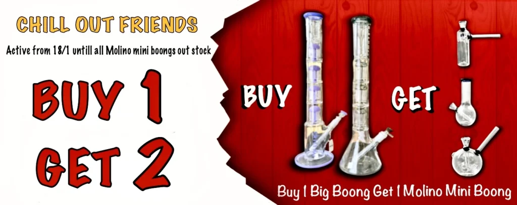 BUY BIG BONG GET MINI BONG